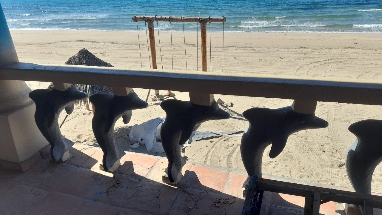Photo of Others in Puerto Penasco