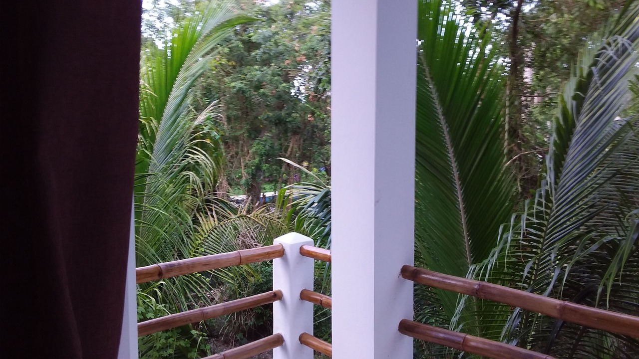 Photo of Outdoor in Cozumel