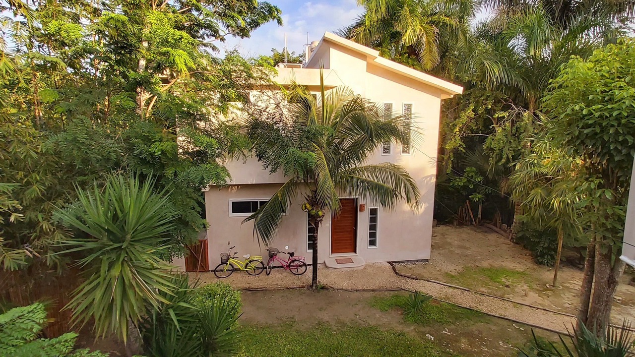 Photo of Outdoor in Cozumel