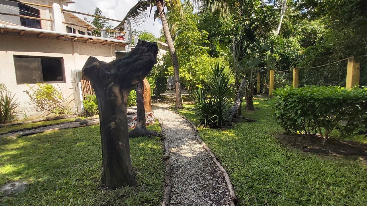 Photo of Outdoor in Cozumel