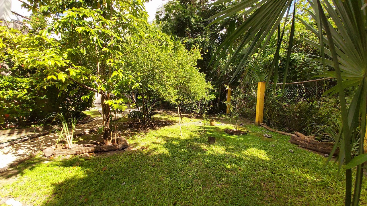 Photo of Outdoor in Cozumel