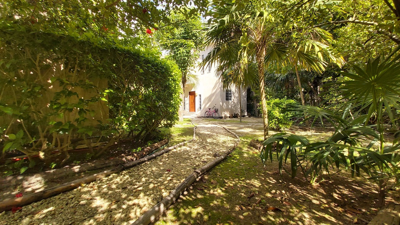Photo of Outdoor in Cozumel