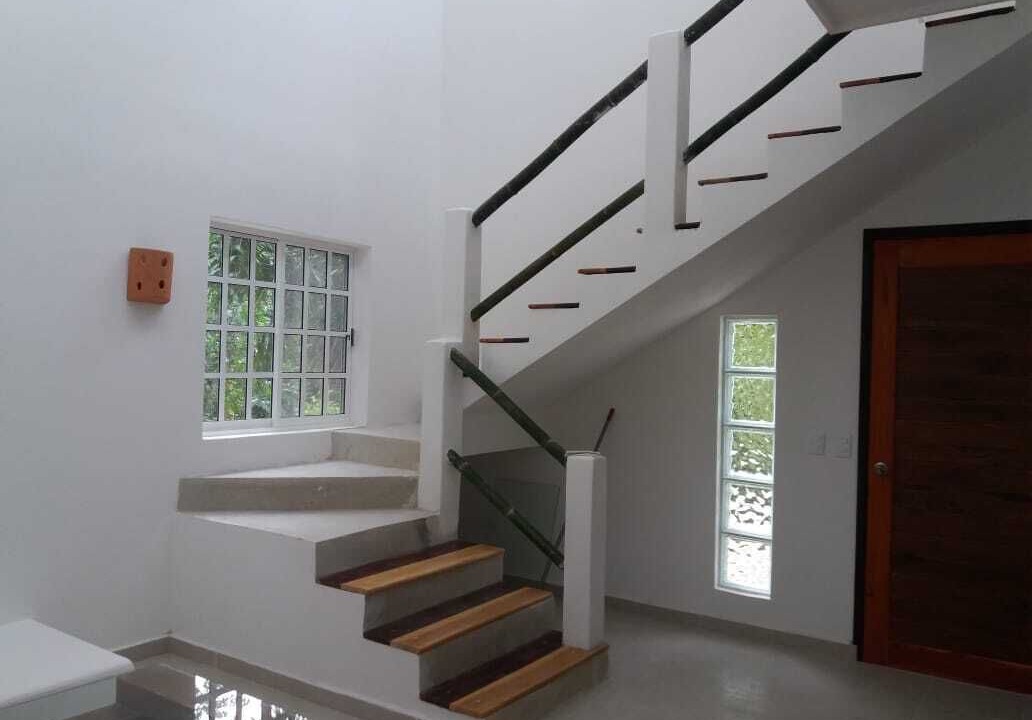 Photo of Others in Cozumel