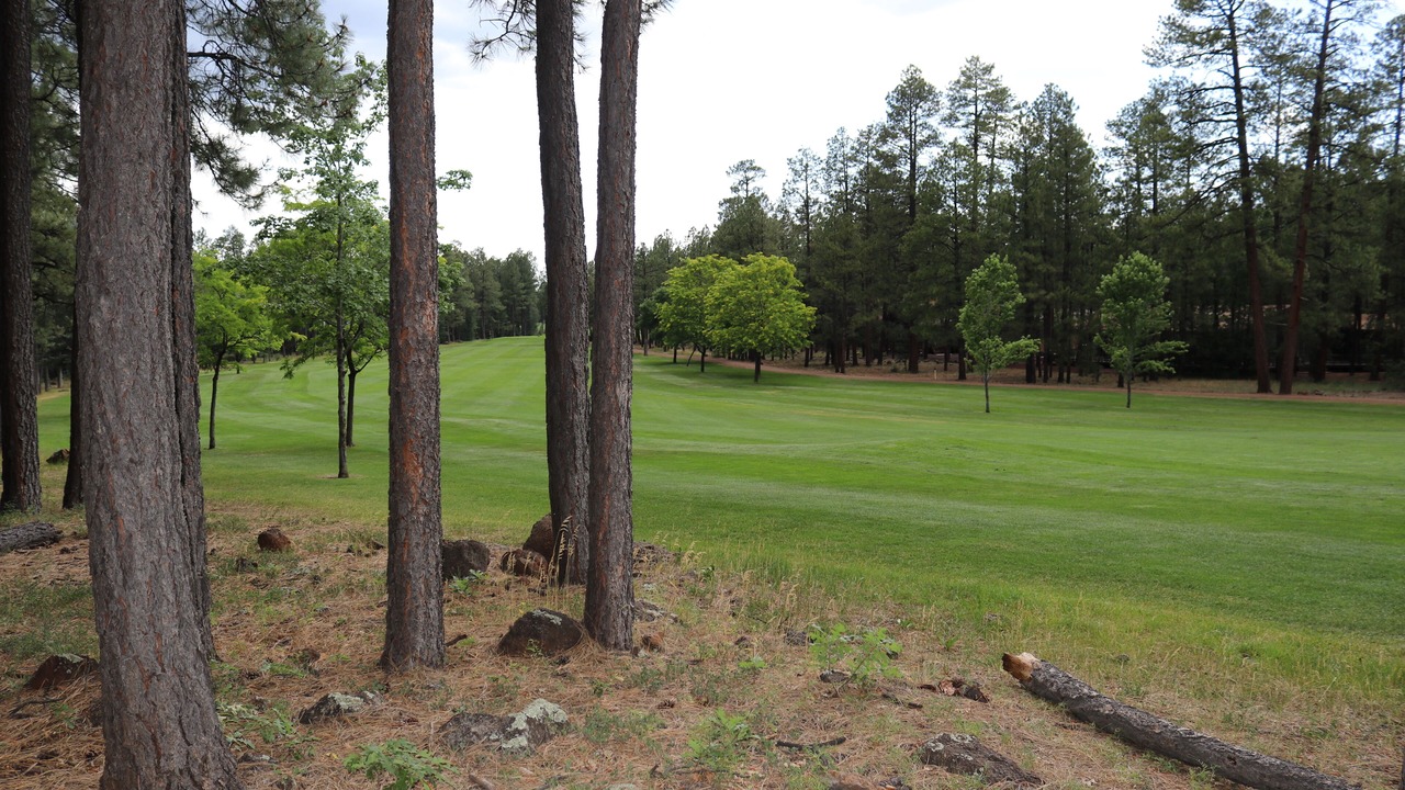 Photo of Others in Pinetop