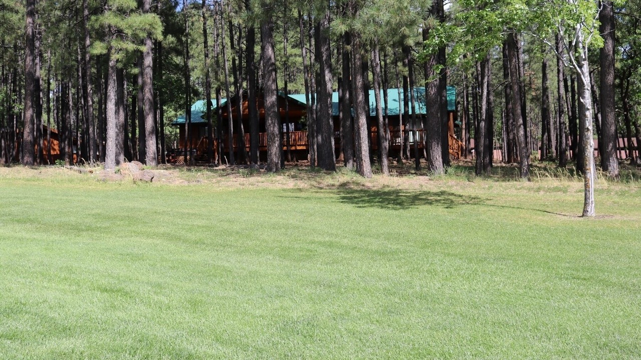 Photo of Others in Pinetop