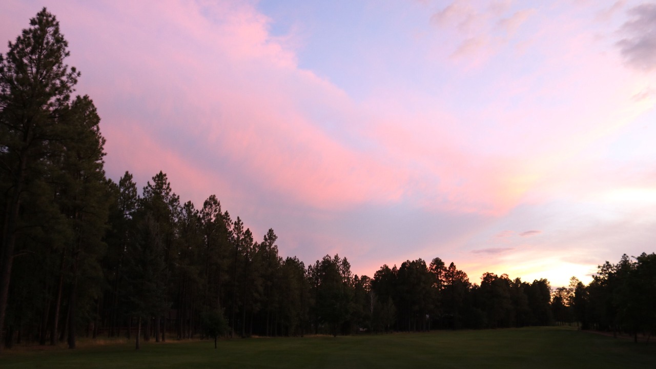 Photo of Others in Pinetop