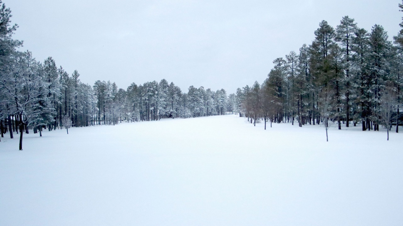 Photo of Others in Pinetop