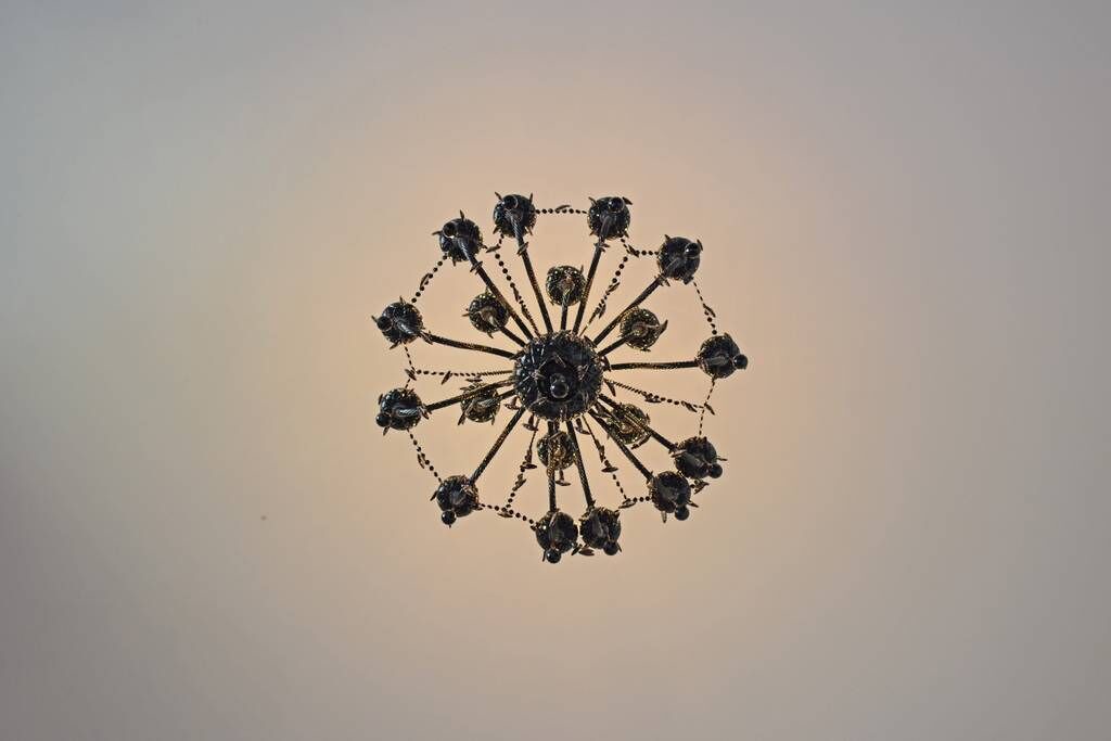 Photo of Others in Bosques de las Lomas