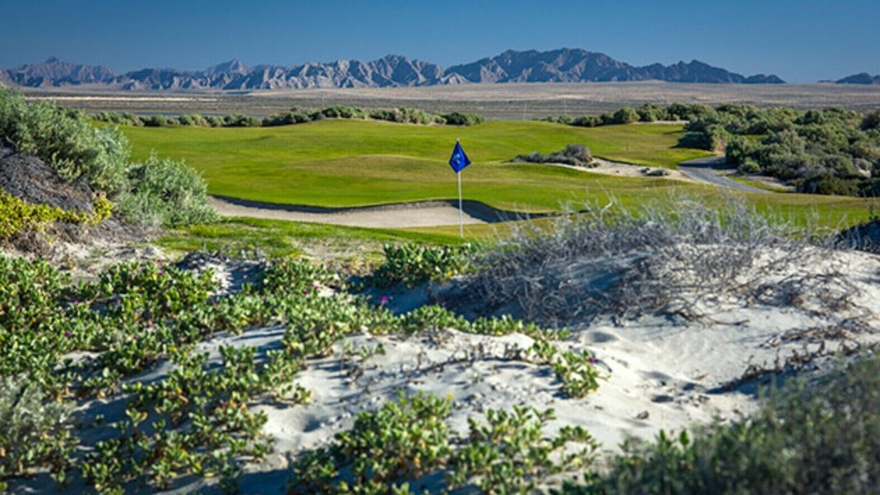 Photo of Others in Puerto Penasco