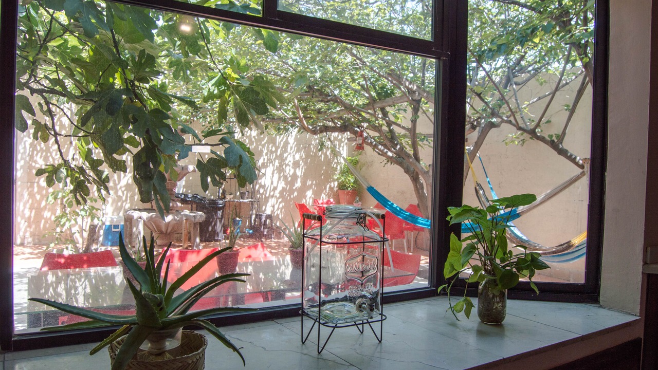 Photo of Others in Campestre-Lomas