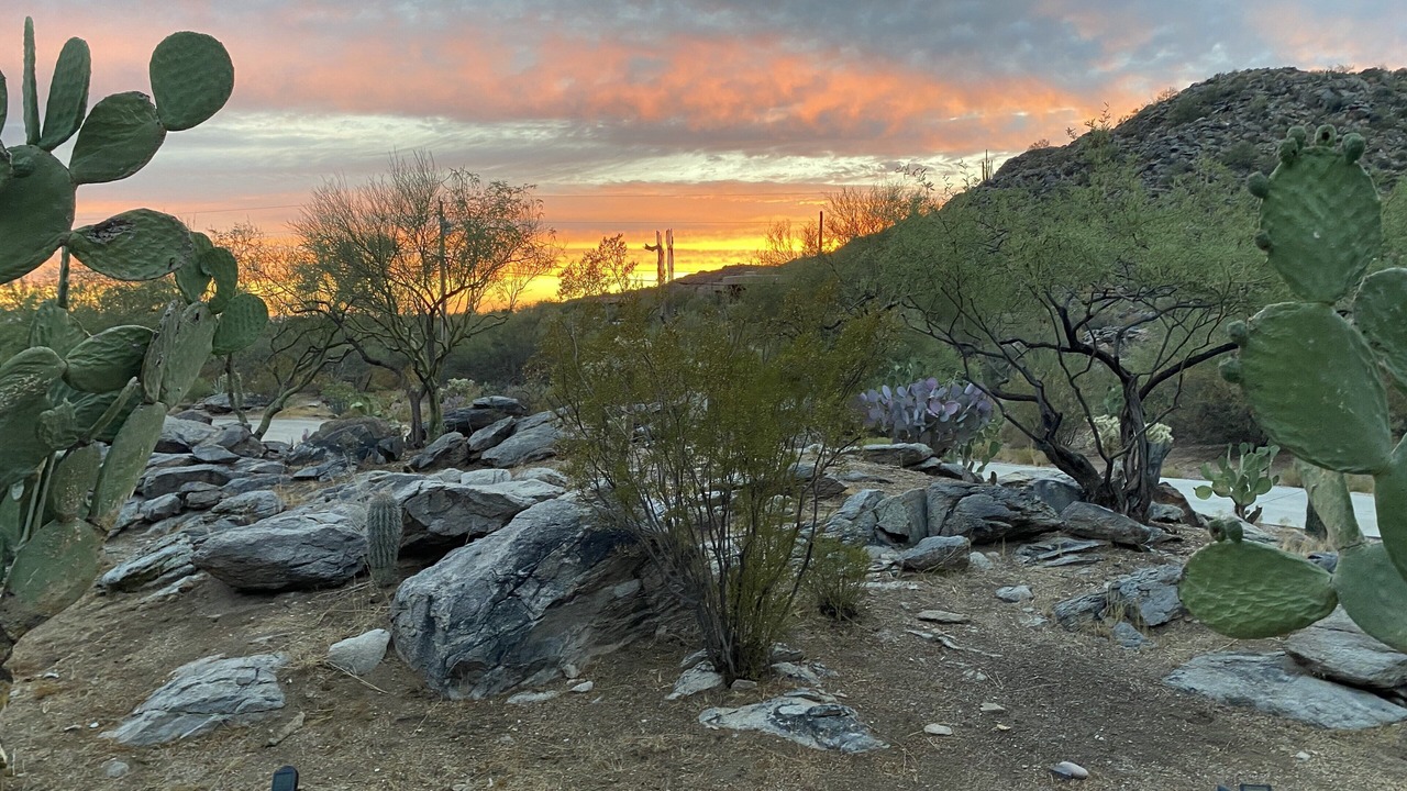Photo of Bedroom in Tucson