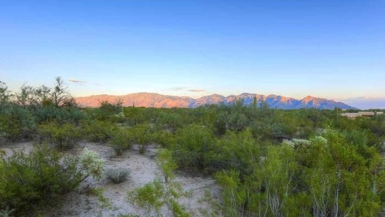 Photo of Others in Tucson