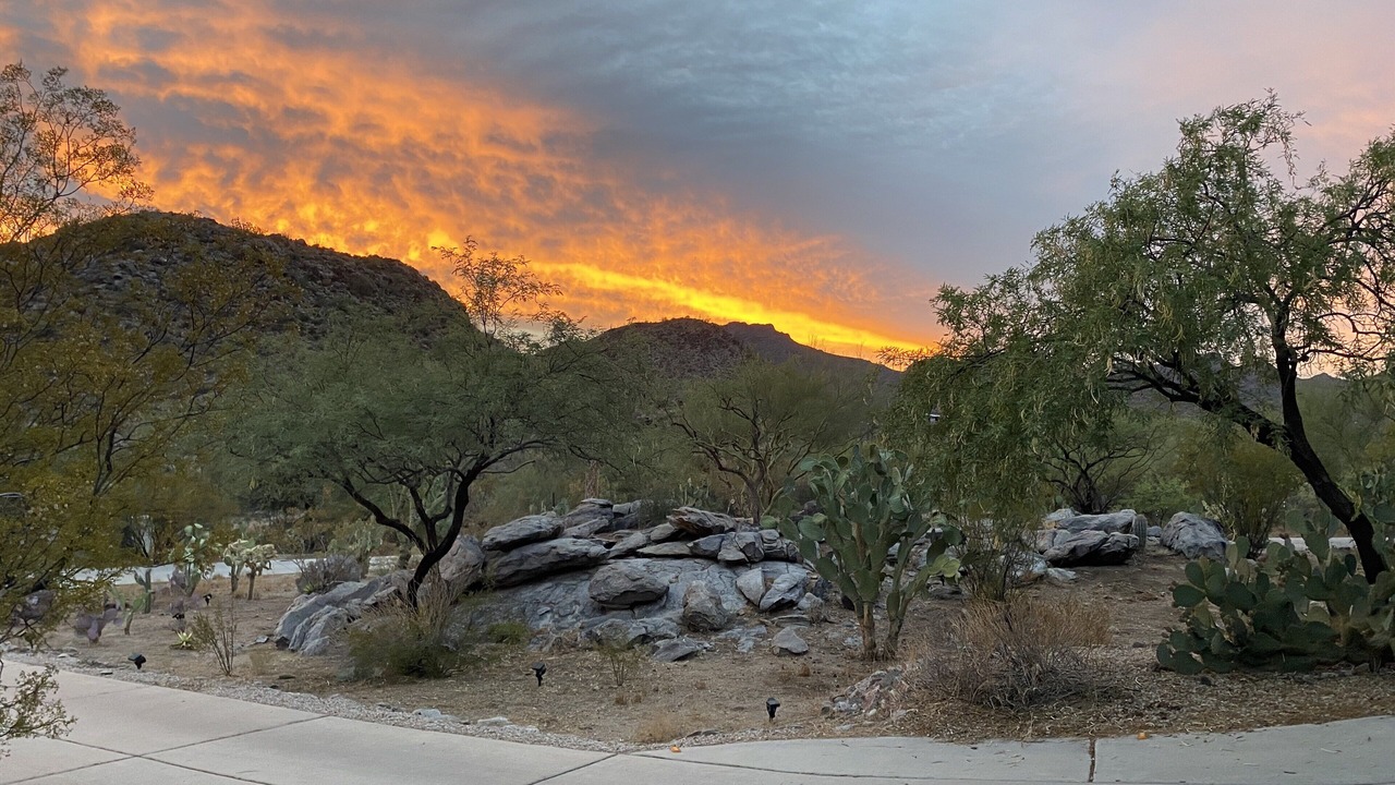 Photo of Others in Tucson