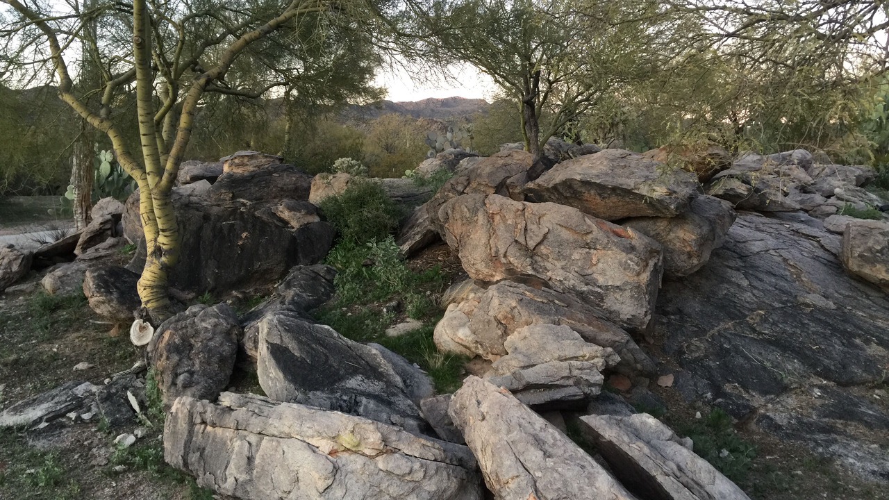 Photo of Others in Tucson