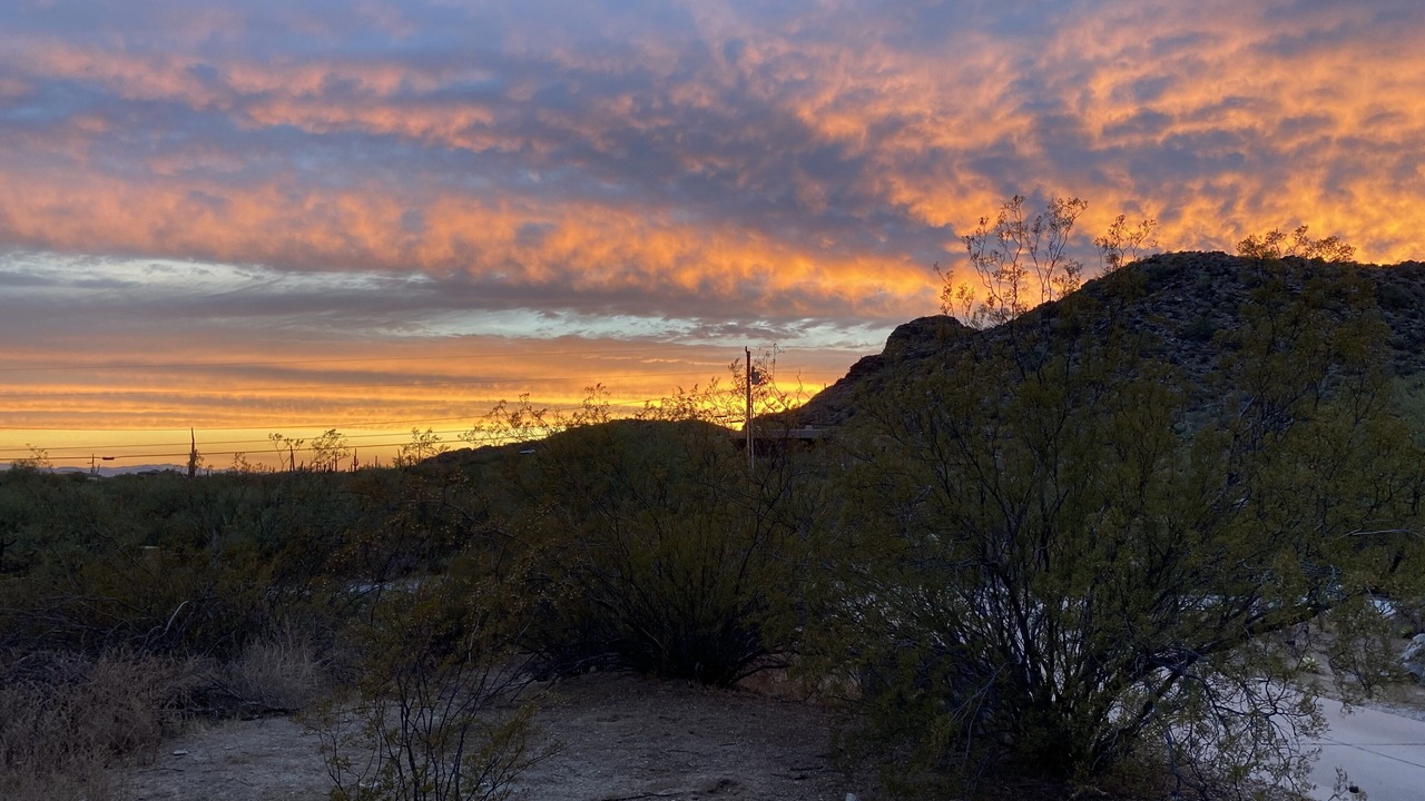 Photo of Others in Tucson