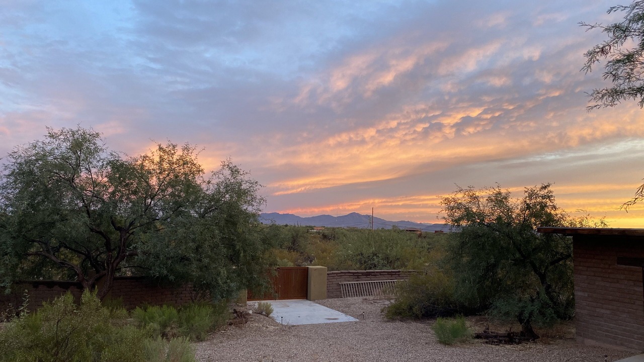 Photo of Others in Tucson