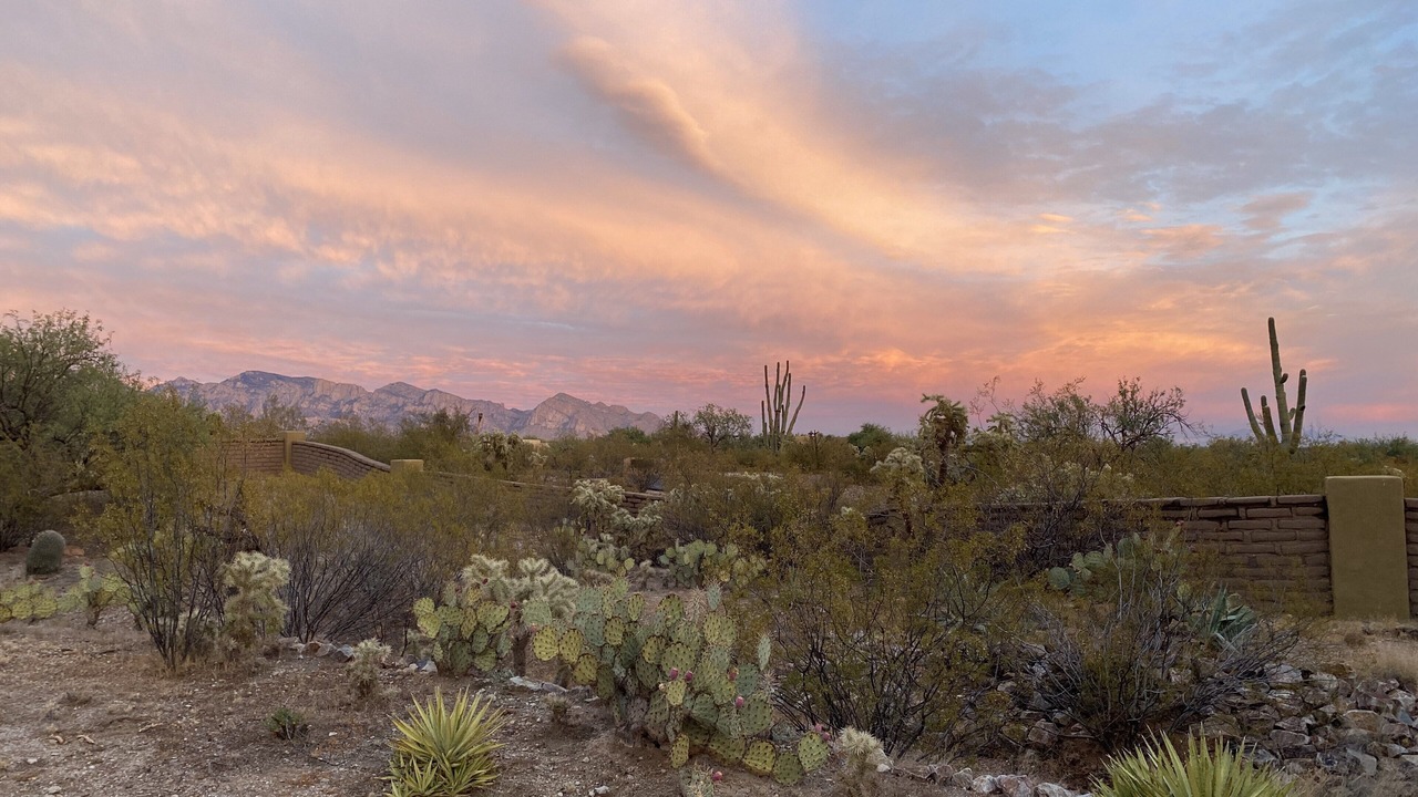 Photo of Others in Tucson