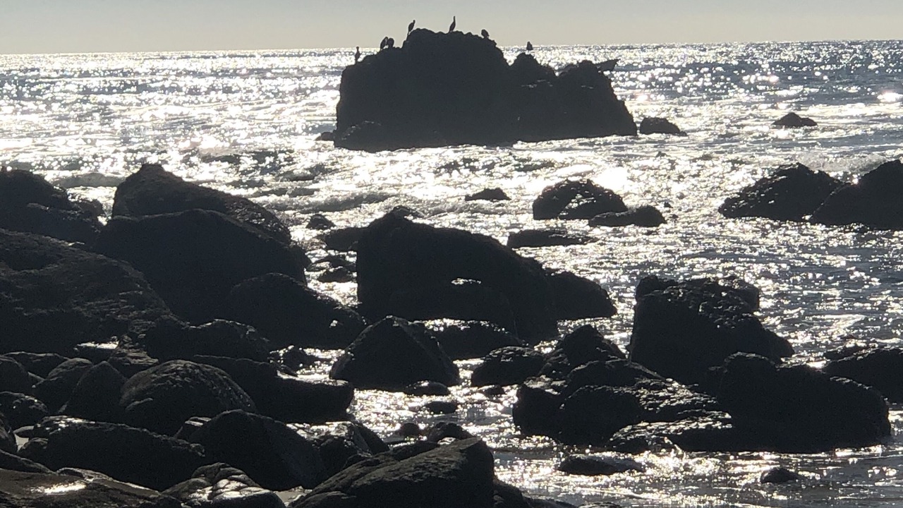 Photo of Others in Rosarito