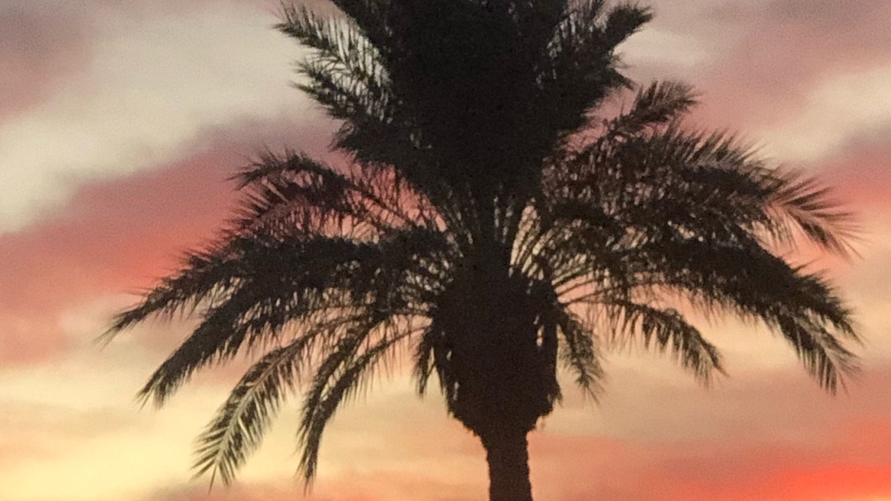 Photo of Others in South Scottsdale