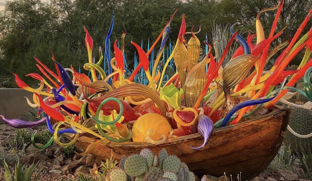 Photo of Others in South Scottsdale