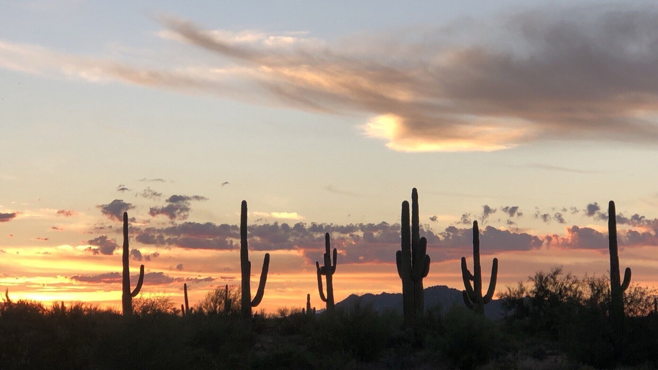 Photo of Others in South Scottsdale