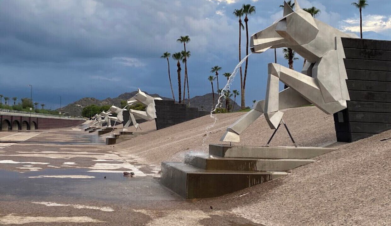 Photo of Others in South Scottsdale