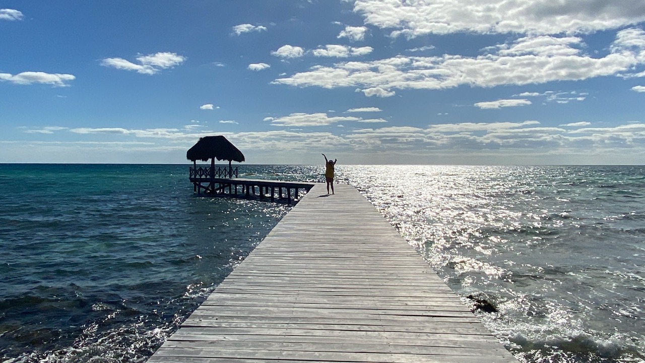Photo of Others in Nuevo Vallarta