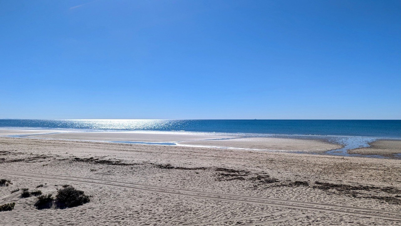 Photo of Others in Puerto Penasco