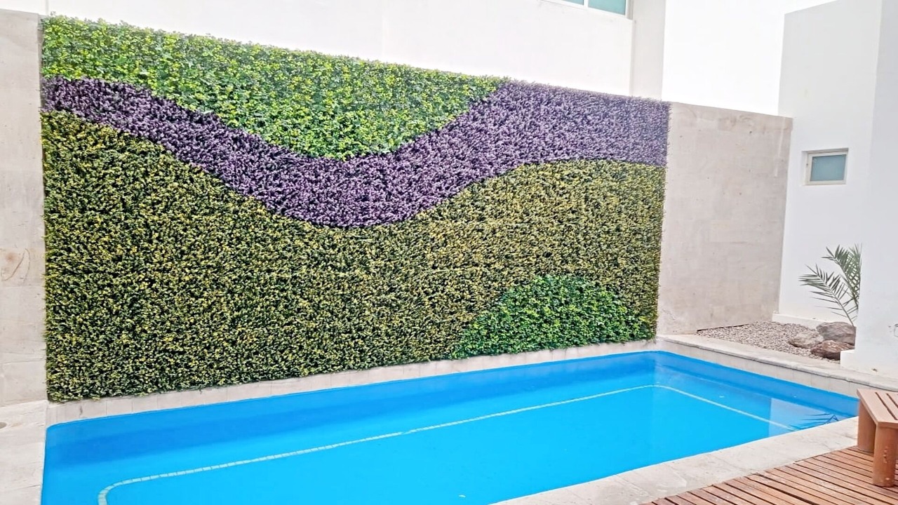 Photo of Outdoor in Puerto Penasco