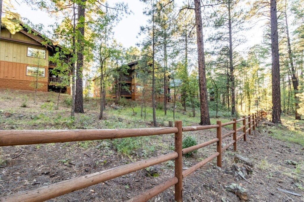 Photo of Others in Pinetop