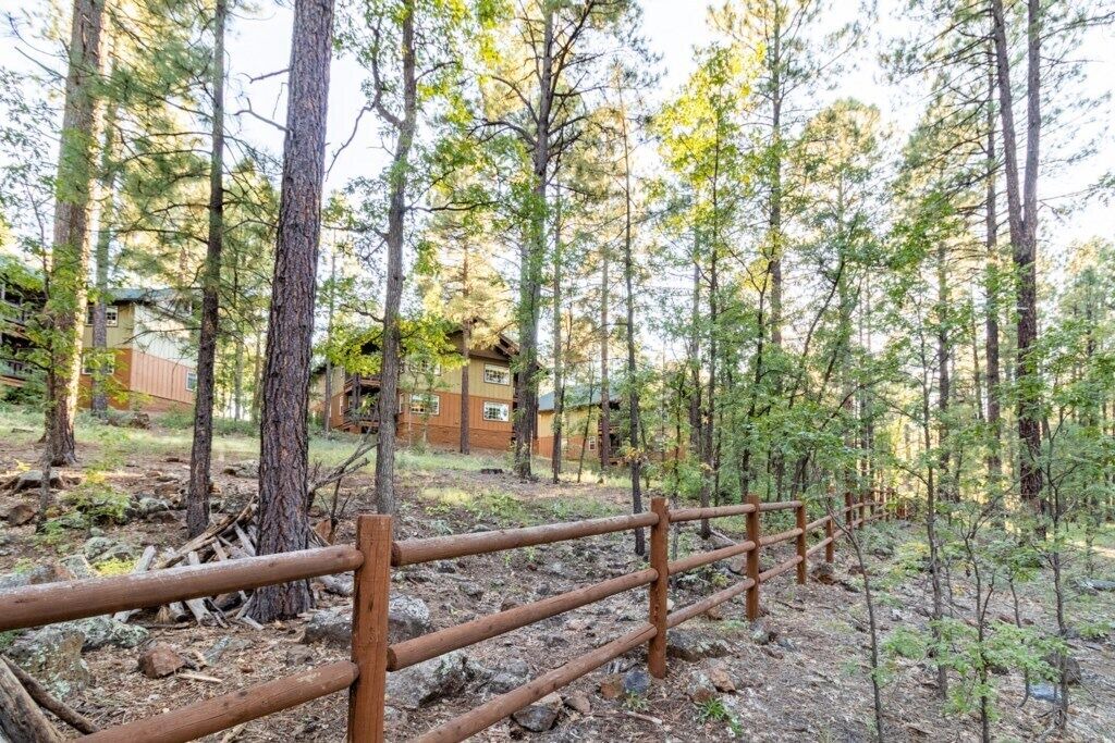 Photo of Others in Pinetop
