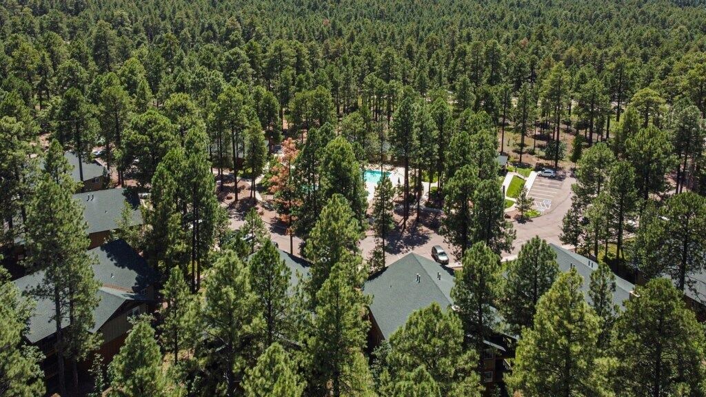 Photo of Others in Pinetop