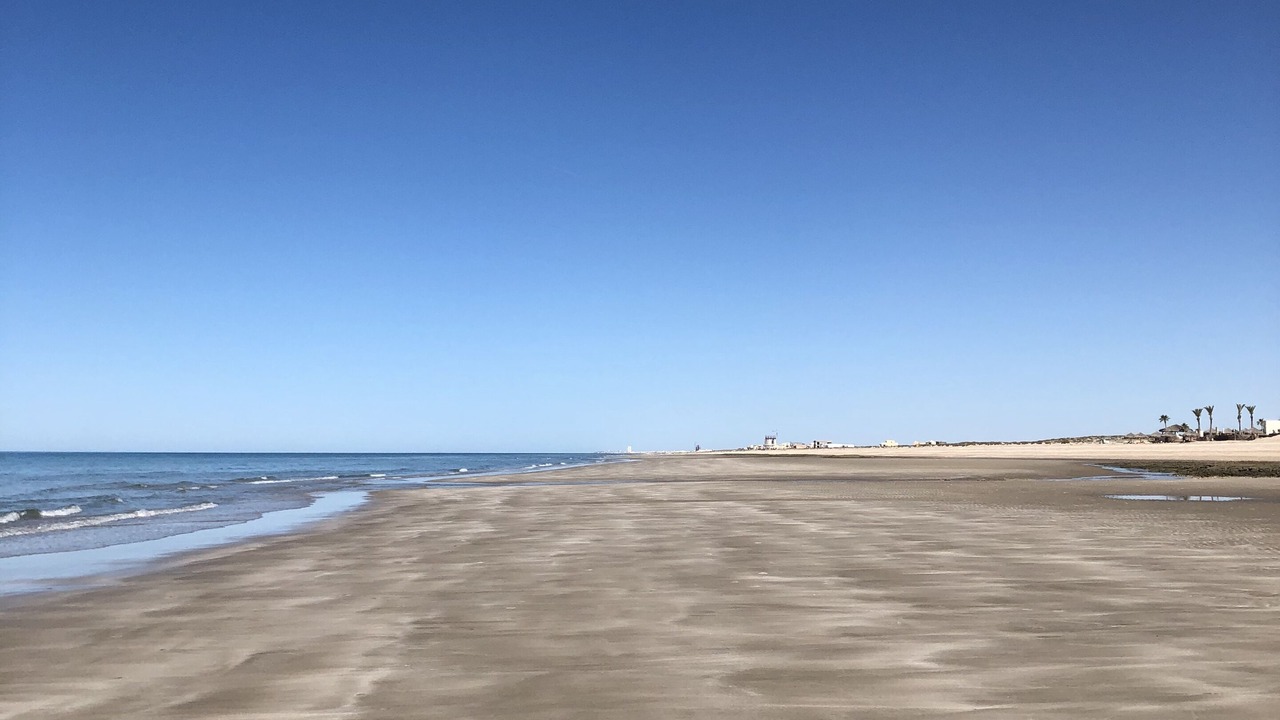 Photo of Others in Puerto Penasco