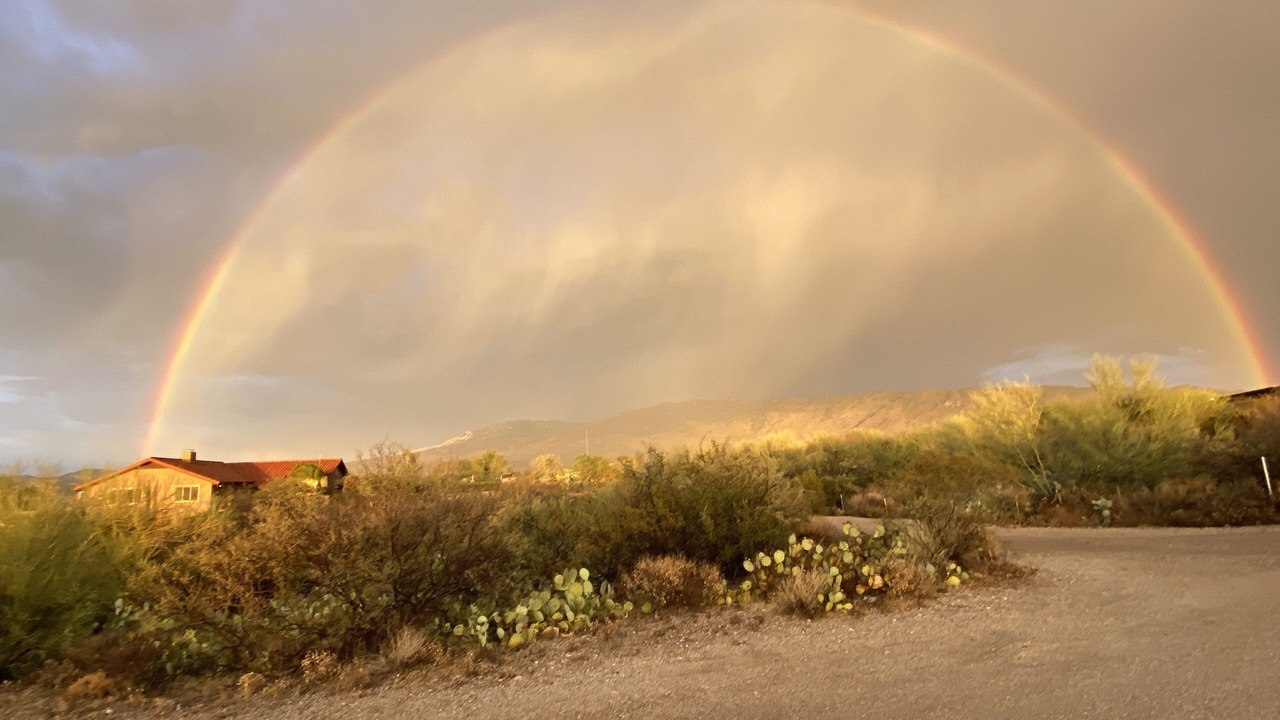 Photo of Others in Tucson