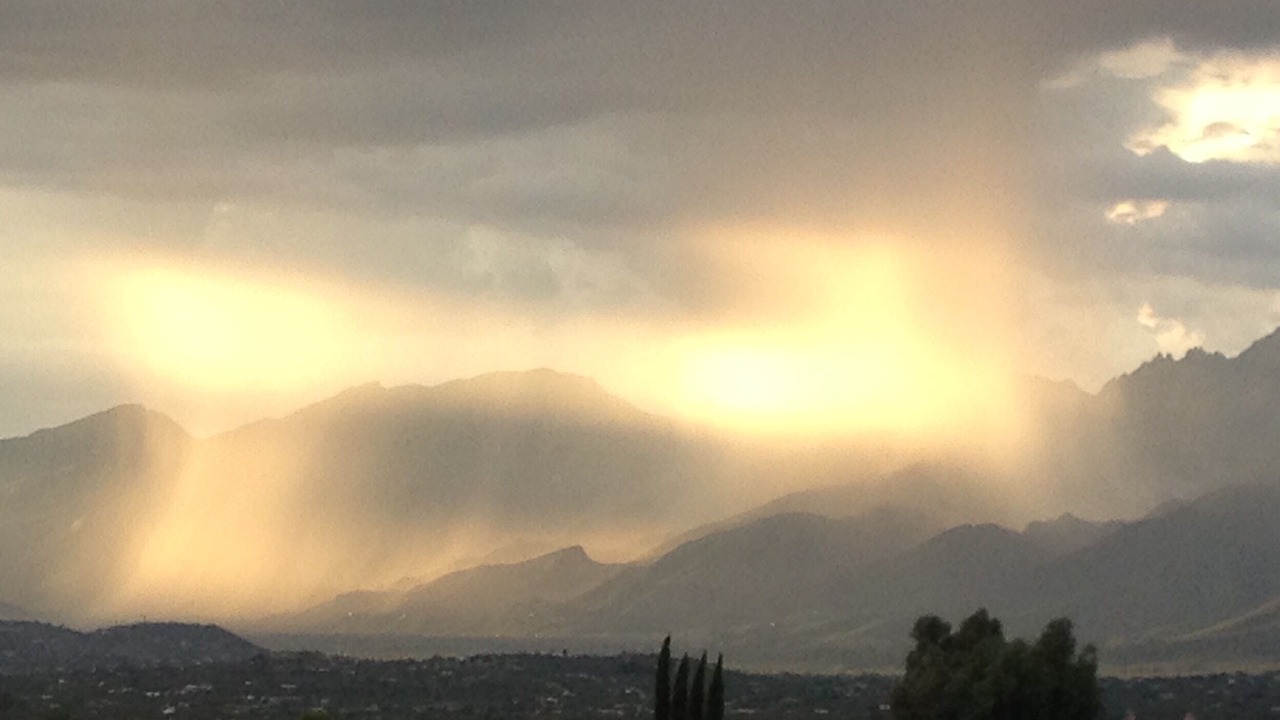 Photo of Others in Tucson
