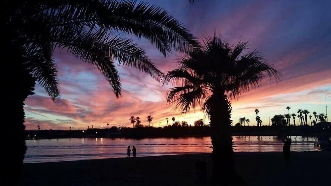 Photo of Others in Lake Havasu City