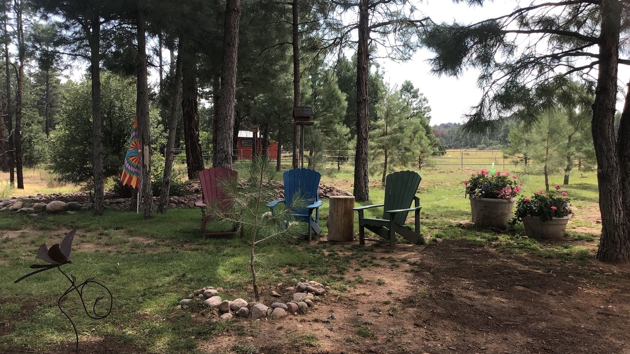 Photo of Outdoor in Clay Springs