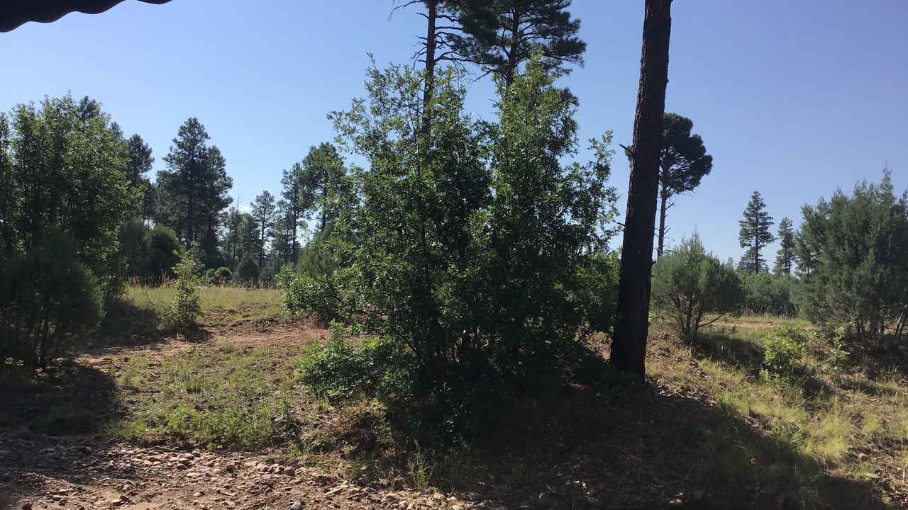 Photo of Outdoor in Clay Springs