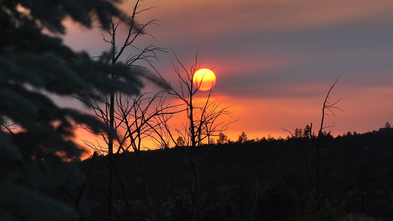 Photo of Outdoor in Clay Springs