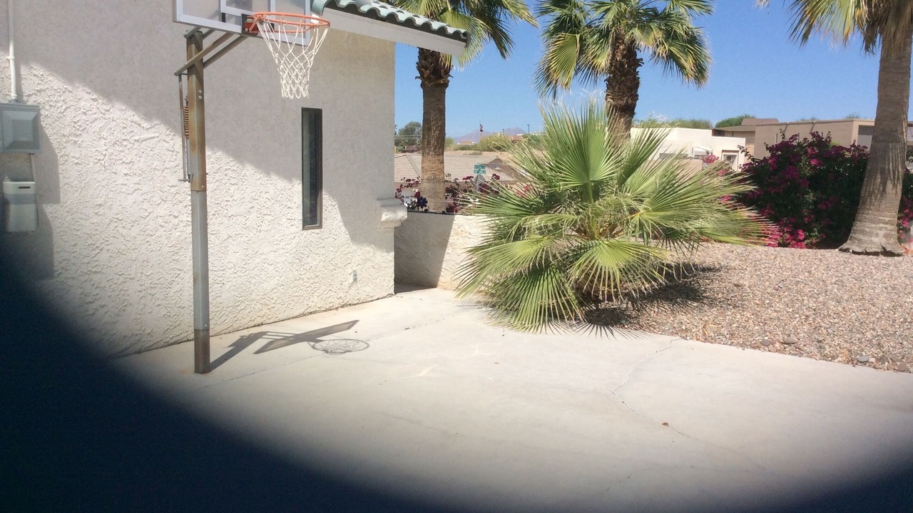 Photo of Others in Lake Havasu City