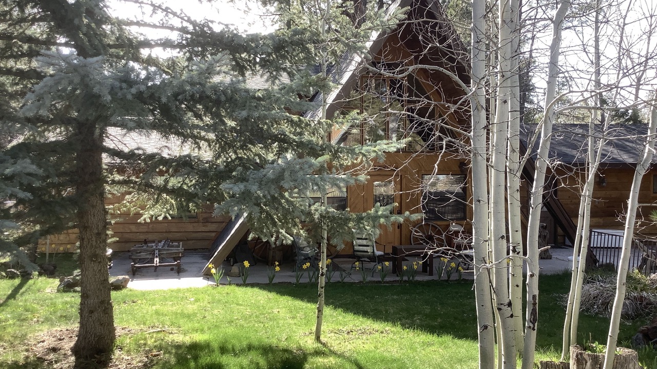 Photo of Outdoor in Munds Park