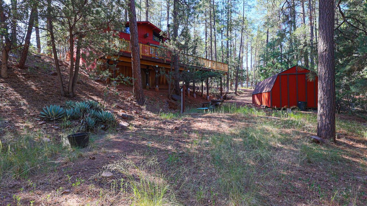 Photo of Outdoor in Strawberry