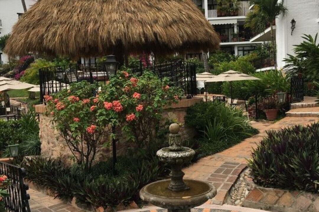 Photo of Outdoor in Downtown Puerto Vallarta