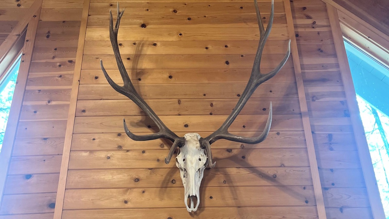Photo of Others in Pinetop
