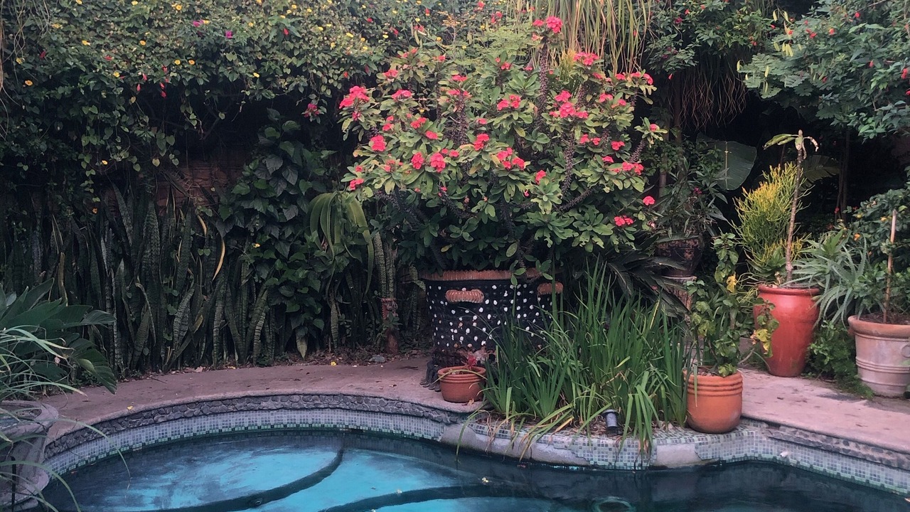 Photo of Outdoor in Centro