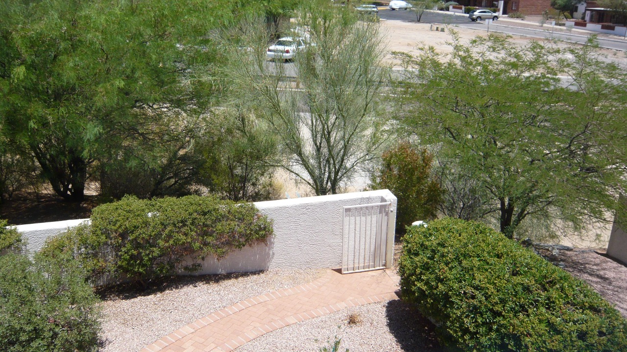 Photo of Others in Green Valley