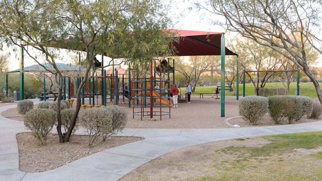 Photo of Others in Sonoran Foothills