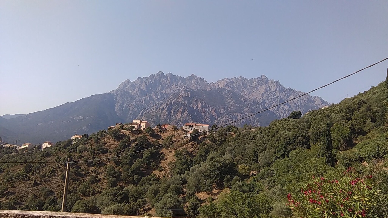 Photo of Others in Moltifao