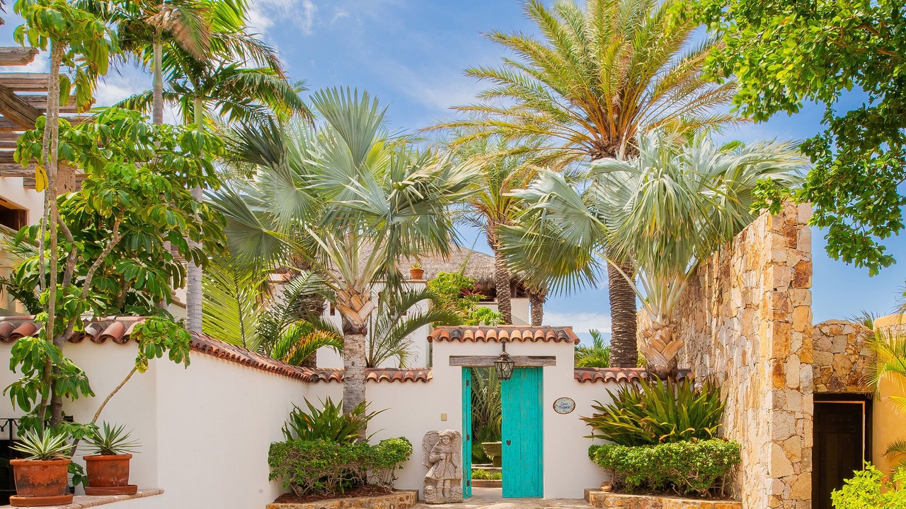 Photo of Others in Pedregal