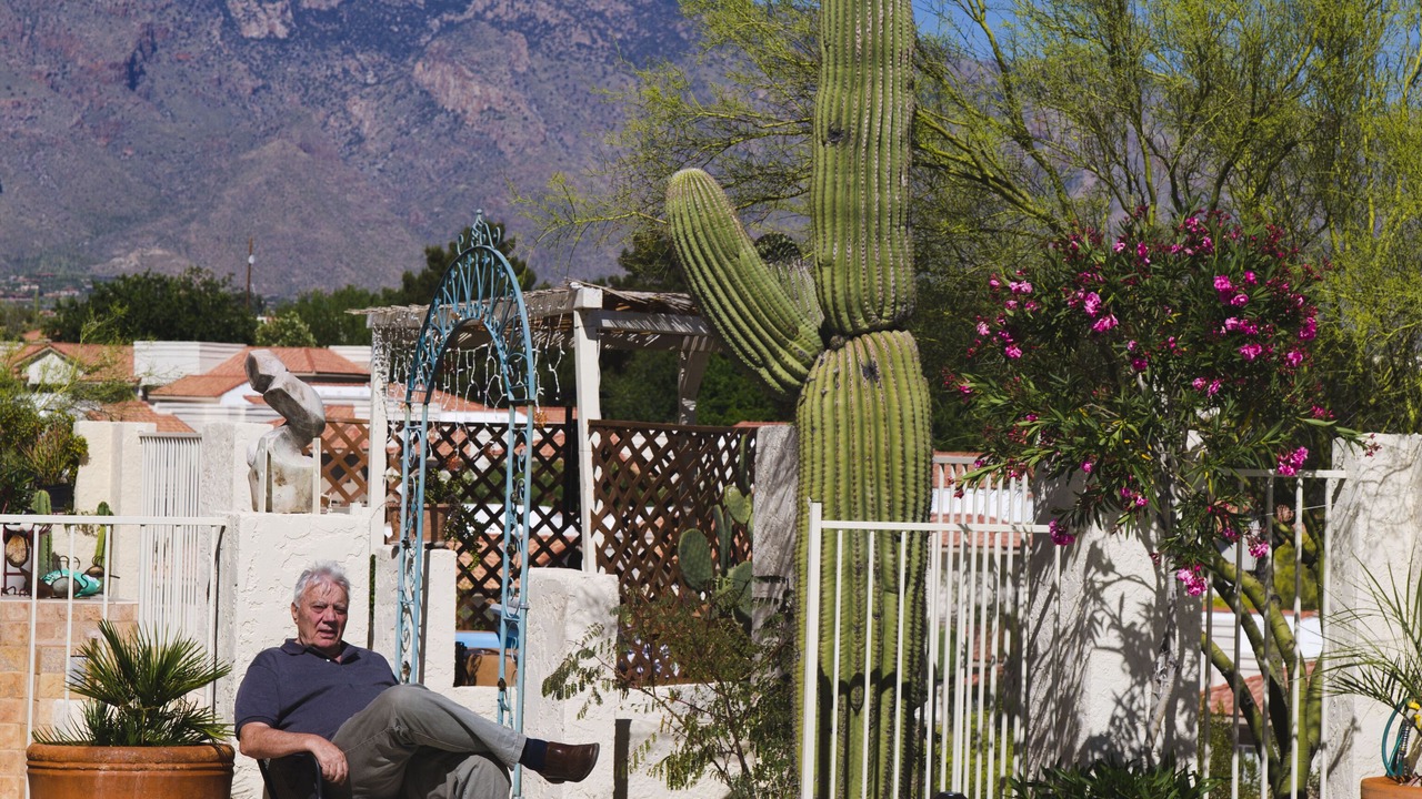 Photo of Outdoor in Oracle Foothills Estates